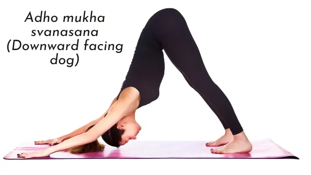 Adho mukha svanasana