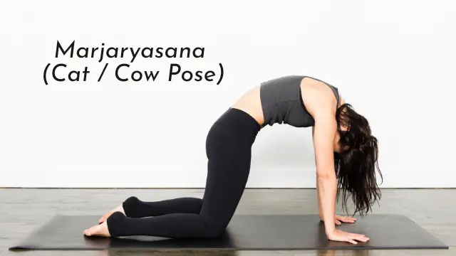 Marjaryasana