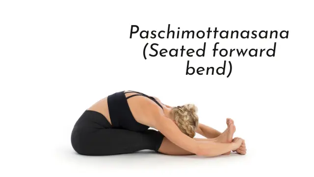 Paschimottanasana (Seated forward bend)