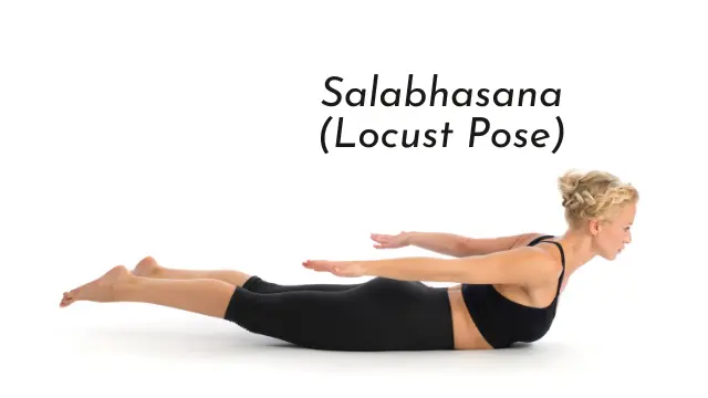 Salabhasana (Locust Pose)